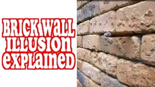 Brick Wall Illusion Explained  MULLY [upl. by Ennairda]