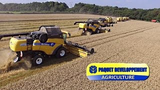 7× New Holland XXL Harvest in France  Paquet Développement [upl. by Damicke]