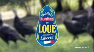 Dinde bronzée fermière de Loué élevée en plein air label rouge IGP [upl. by Serg932]