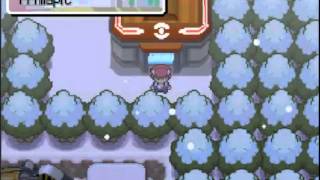 Lets play Pokémon Platine Nuzlocke Challenge 18  Jaime pas le patinage [upl. by Tilford281]