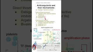 Anticoagulants and their mechanisms [upl. by Gosser]