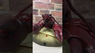 Rock Lobster [upl. by Peta]