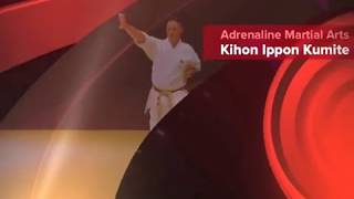 Kihon Ippon Kumite [upl. by Nylassej]