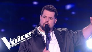 Daniel Balavoine  SOS dun terrien en détresse  Aurélien  The Voice 2023  Cross Battles [upl. by Nwahsed]