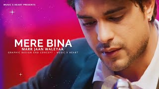 Mere Bina Marr Jaan Waleya Song  Junooniyatt  ankitgupta [upl. by Leyes]