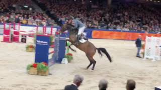 Impressive VDL first round stallion competition 2019 [upl. by Sage799]