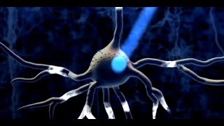 Optogenetics pioneer Ed Boyden observes neuron behavior with light [upl. by Chrystel]