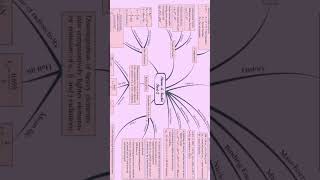 Atoms and Nuclei Class 12th Physics Mind Map [upl. by Hewes328]