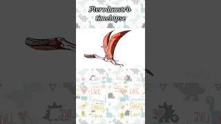 Pterodaustro timelapse shorts dinosaur prehistoriclife pterodaustro fossils extinction [upl. by Lunt]