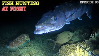 NIGHT SPEARFISHING EPISODE 80  FISH HUNTING AT NIGHT [upl. by Brandea]