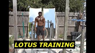 LOTUS TRAINING MAX OUT DIPS AFTER TRAINING GoldenLotusDzu9hl rashad3008 [upl. by Juley]