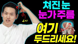 동안얼굴운동 3분만에 눈주름 쳐진눈 이마주름을 확실하게 올려주는 얼굴노화 막는법글로벌사이버대학교 이재호교수브레인트레이너 힐링가이드 제오 [upl. by Rehoptsirhc]