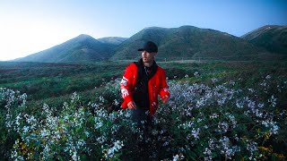 Overnight Camping in Californias Mysterious Beach [upl. by Kondon]