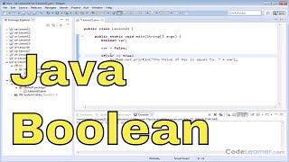 21  The Boolean Data Type in Java [upl. by Inihor]