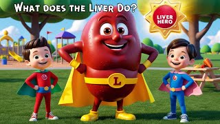 Why Your Liver is More Important Than You Think  Functions of the liver  what does the Liver do [upl. by Schatz541]