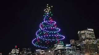 Drone Christmas Show Darling Harbour Sydney [upl. by Draner]