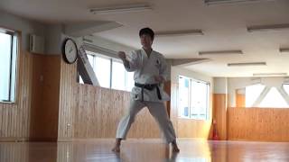 JKA Hangetsu 41 moves by Naka Sensei [upl. by Gora793]