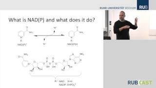 Biocatalytic redox reactions for Organic Synthesis FULL [upl. by Valentin474]