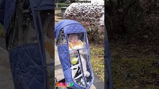 Is Bad Weather Stopping Your Stroller Walks Try the Stroller Rain CoverShorts [upl. by Emie]