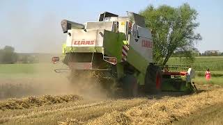 Żniwa 2024 CLAAS LEXION 450 [upl. by Ahasuerus]