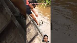 IKAN TAPAH BABON [upl. by Eiahpets]