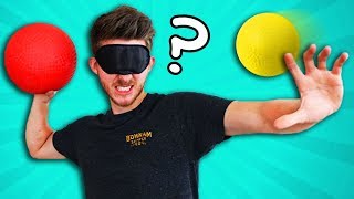 BLIND Dodgeball Challenge [upl. by Ilan]