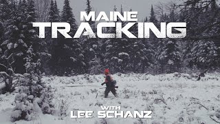 Tracking Bucks in Maine with Maine Guide Lee Schanz Jr  BIG WOODS BUCKS [upl. by Jany]