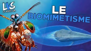 Lart dutiliser la NATURE  LVS Biomimétisme [upl. by Liddy]