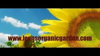 Leons Organic Garden Soilless Seed Starting Mix [upl. by Ezalb]