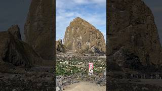 Haystack Rock 🪨  Cannon Beach Oregon rock beach haystackrock nature oregon [upl. by Iolande]