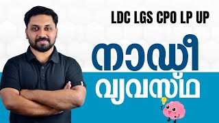 നാഡീ വ്യവസ്ഥ  മുൻവർഷങ്ങളിലെ ചോദ്യങ്ങൾ  LDCLGSCPOLPUP SPECIAL ldc lgs lpup cpo [upl. by Marbut]