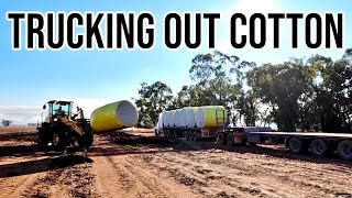 The Cotton is Away  Cotton in Australia  Vlog 290 [upl. by Nahtad]