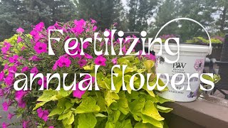 Fertilizing annual Flowers [upl. by Durst]