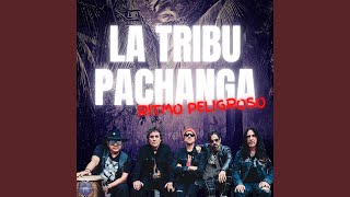 La Tribu Pachanga [upl. by Eseneg]