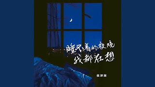 睡不着的夜晚我都在想 [upl. by Ainej]