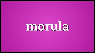 Morula Meaning [upl. by Hilton151]