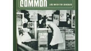 Common  Heat prod by J Dilla [upl. by Bohun]