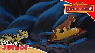 Løvenes Garde  Livets tre 🌴  Disney Junior Norge [upl. by Lorenzo557]