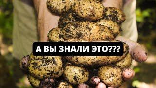 Растёт ли картофель после высыхания ботвы и когда ее копать [upl. by Saraiya]