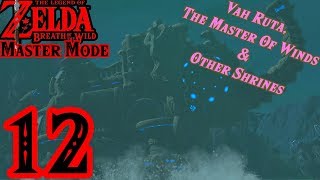 Zelda BotW MASTER MODE 12  Vah Ruta amp Nearby Shrines [upl. by Halbeib]