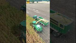 Maize Silage is NO issue for the CLAAS Jaguar 870 Forage Harvester silage2024 ytshorts youtube [upl. by Ardnohsed]