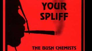 Bush Chemists  Mount Zion I [upl. by Ashok541]