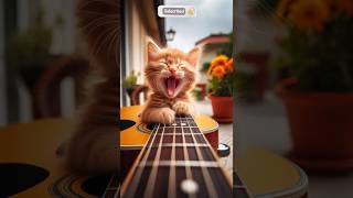 Kittens fighting over guitar part 1 cat catcutekittenvideo sadshort viralcat funny viralshort [upl. by Drucilla]