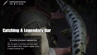 Red Dead Redemption 2  How To Catch The Legendary Gar Fishing in RDR2 [upl. by Dlawso771]