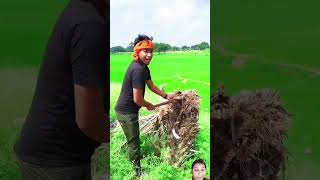 jaldi aa yaha par sap hyoutubeshorts comedy funny realfoolscomedy yt ytshorts trendingshorts [upl. by Hosea]