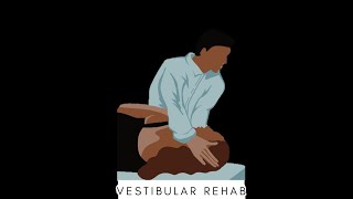 BPPV Treatment The Epley Maneuver  Anterior and Posterior Canalithiasis [upl. by Moretta394]