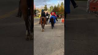 Love trick or treating with horses horse horsegirlenergy halloween trickortreating horse [upl. by Telfer]