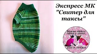 40 Экспресс МК Свитер для таксы [upl. by Issak]