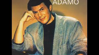 Salvatore Adamo  Mes plus grands succes 1981 [upl. by Nitfa]