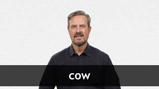 How to pronounce COW in American English [upl. by Eaned]